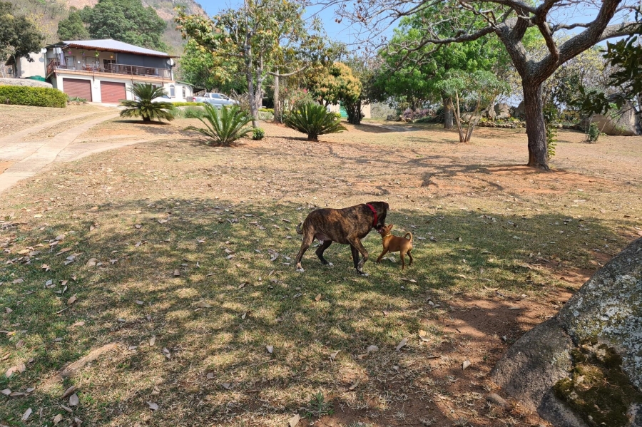 3 Bedroom Property for Sale in Renosterkop Mpumalanga