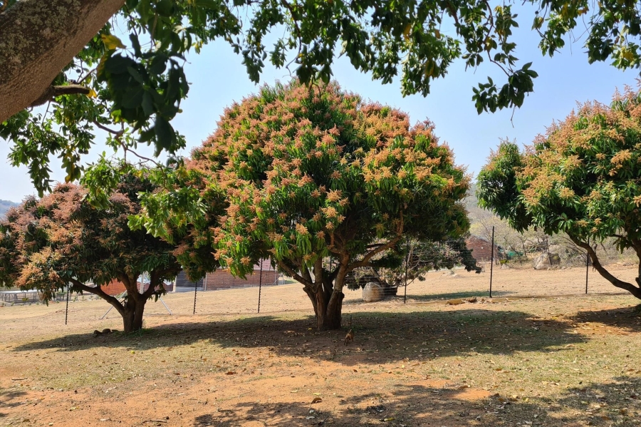 3 Bedroom Property for Sale in Renosterkop Mpumalanga