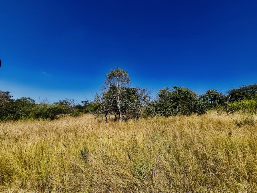 0 Bedroom Property for Sale in Likweti Bushveld Farm Estate Mpumalanga