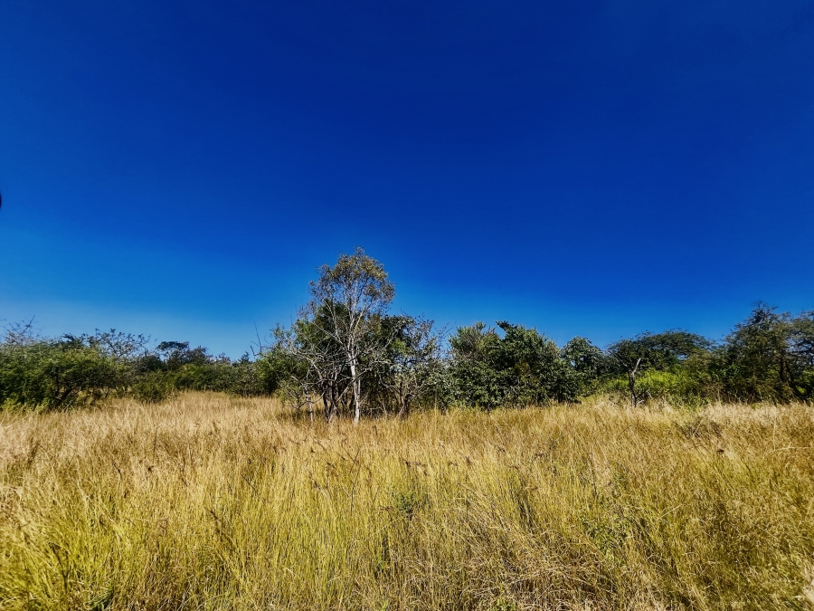 0 Bedroom Property for Sale in Likweti Bushveld Farm Estate Mpumalanga