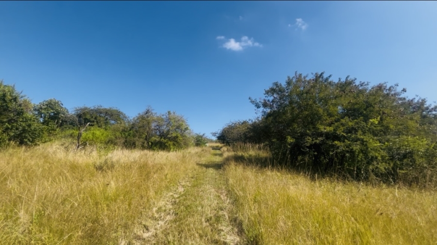 0 Bedroom Property for Sale in Likweti Bushveld Farm Estate Mpumalanga