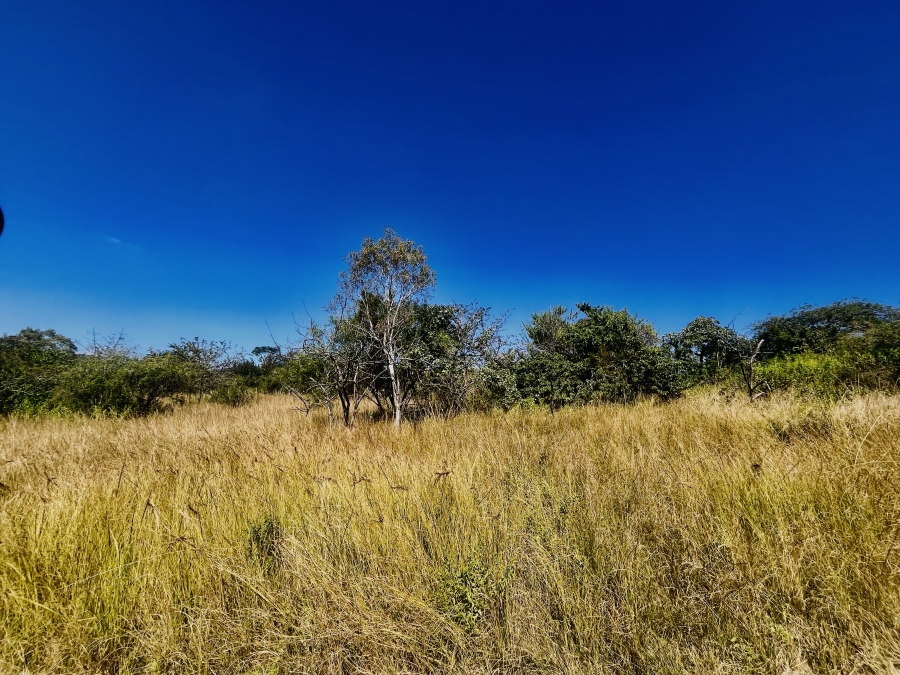 0 Bedroom Property for Sale in Likweti Bushveld Farm Estate Mpumalanga