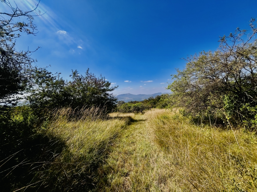 0 Bedroom Property for Sale in Likweti Bushveld Farm Estate Mpumalanga