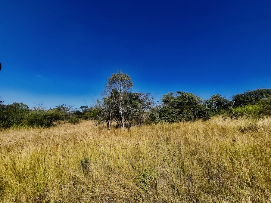 0 Bedroom Property for Sale in Likweti Bushveld Farm Estate Mpumalanga