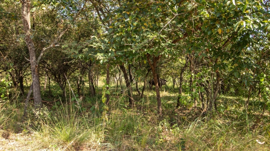 3 Bedroom Property for Sale in Hazyview Mpumalanga