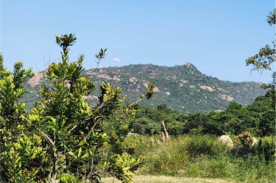 11 Bedroom Property for Sale in Nelspruit Rural Mpumalanga