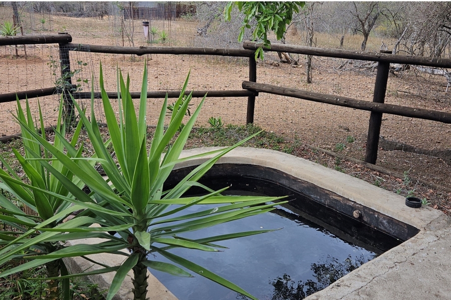 4 Bedroom Property for Sale in Marloth Park Mpumalanga