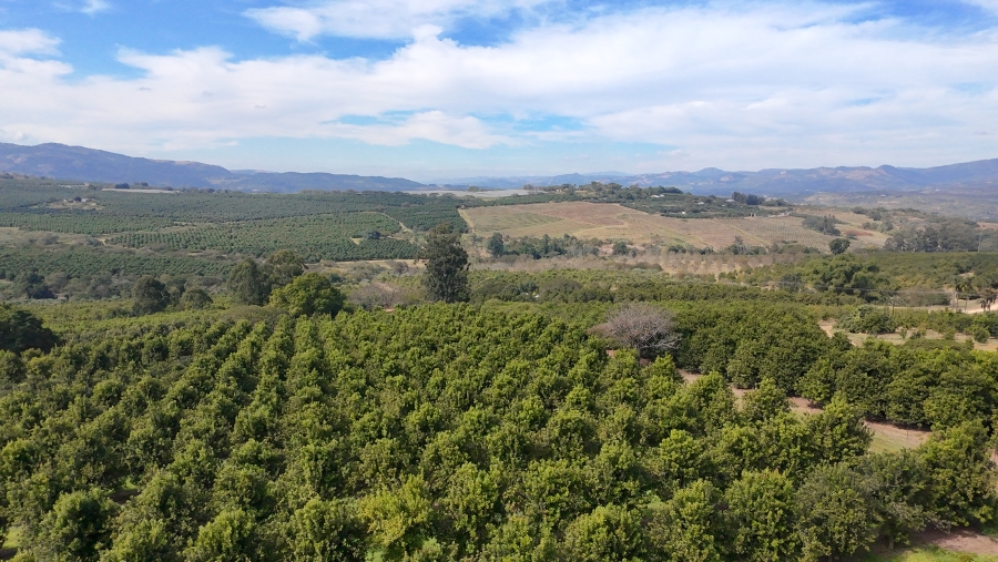 Commercial Property for Sale in Nelspruit Rural Mpumalanga