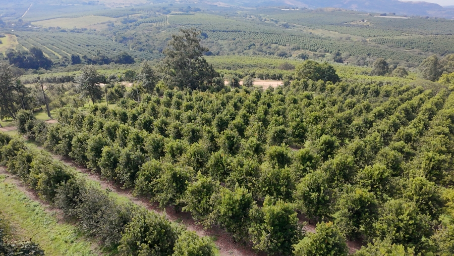 Commercial Property for Sale in Nelspruit Rural Mpumalanga