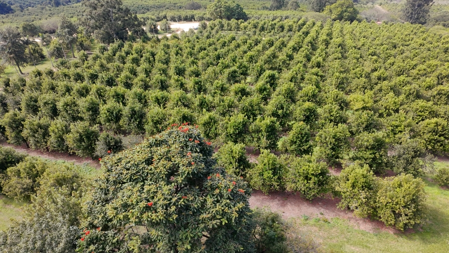 Commercial Property for Sale in Nelspruit Rural Mpumalanga