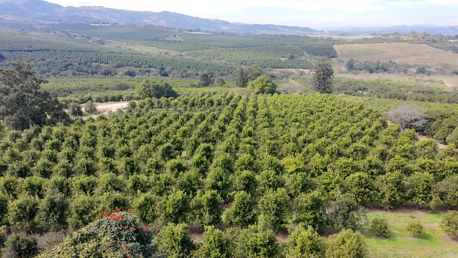 Commercial Property for Sale in Nelspruit Rural Mpumalanga