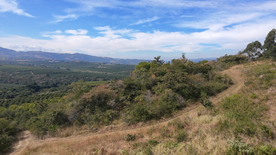 Commercial Property for Sale in Nelspruit Rural Mpumalanga