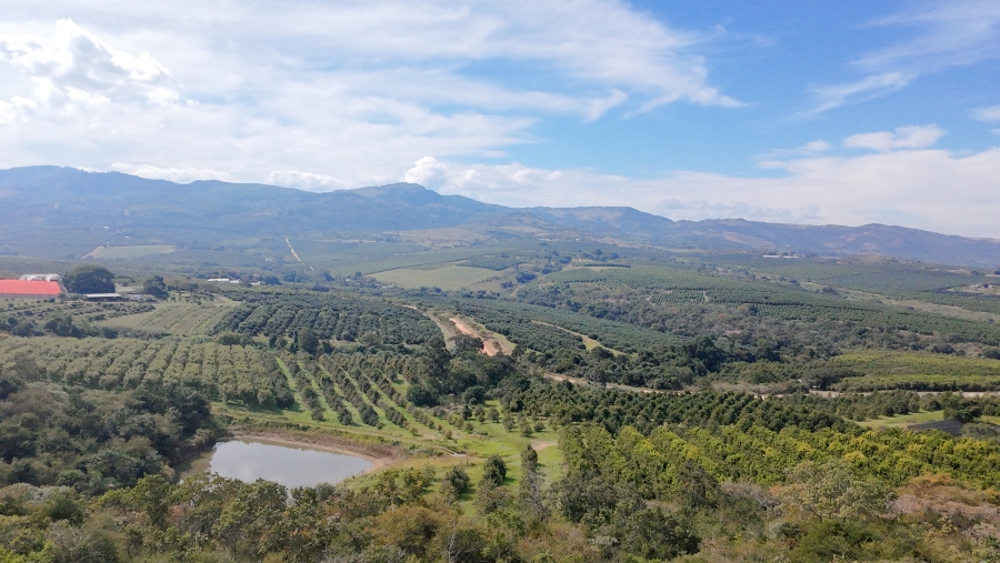 Commercial Property for Sale in Nelspruit Rural Mpumalanga