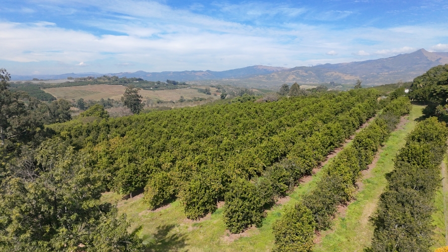 Commercial Property for Sale in Nelspruit Rural Mpumalanga