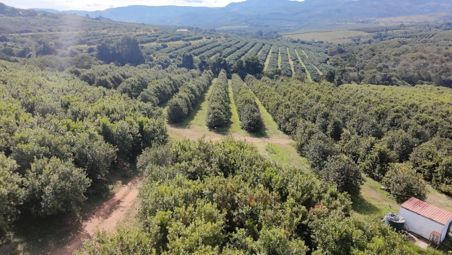 Commercial Property for Sale in Nelspruit Rural Mpumalanga