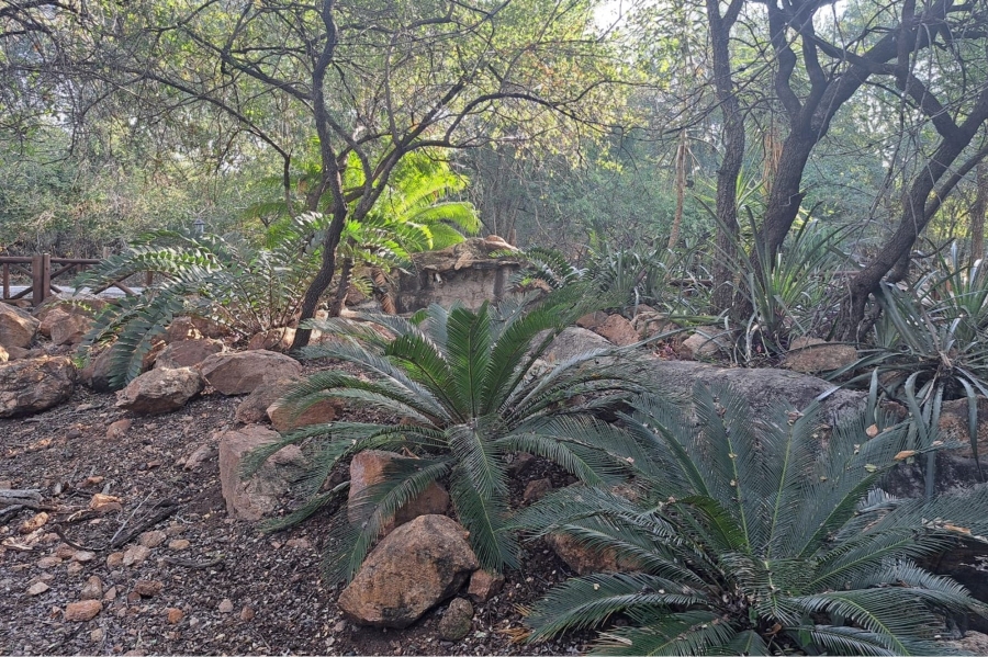 0 Bedroom Property for Sale in Marloth Park Mpumalanga