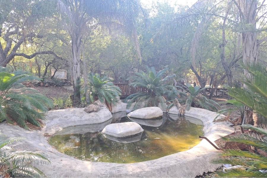 0 Bedroom Property for Sale in Marloth Park Mpumalanga