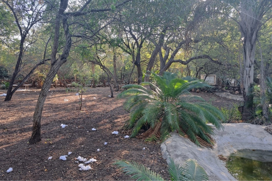 0 Bedroom Property for Sale in Marloth Park Mpumalanga