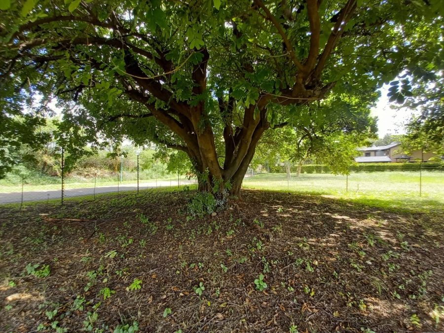 0 Bedroom Property for Sale in Malelane Mpumalanga