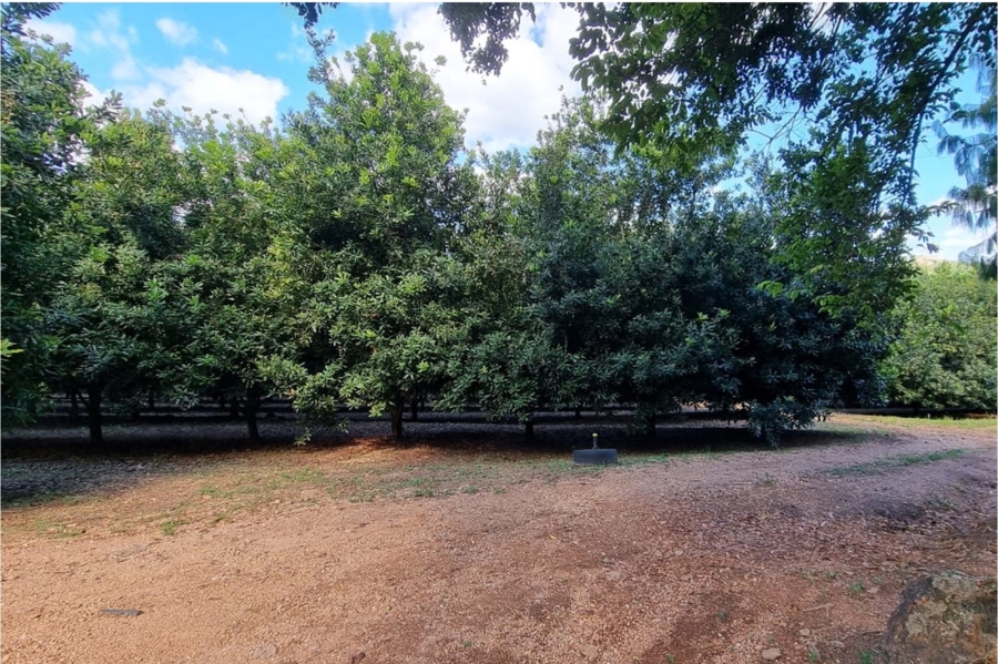 0 Bedroom Property for Sale in Nelspruit Rural Mpumalanga