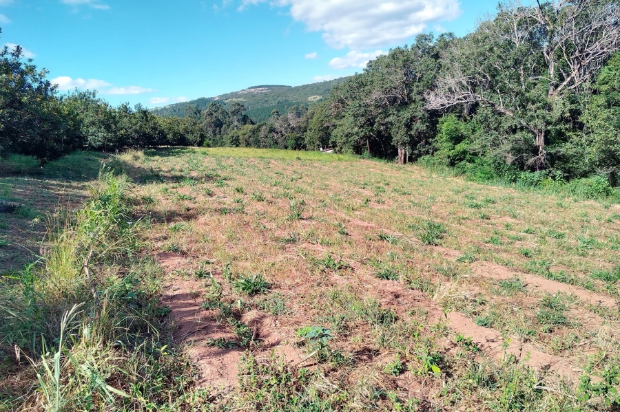 0 Bedroom Property for Sale in Nelspruit Rural Mpumalanga
