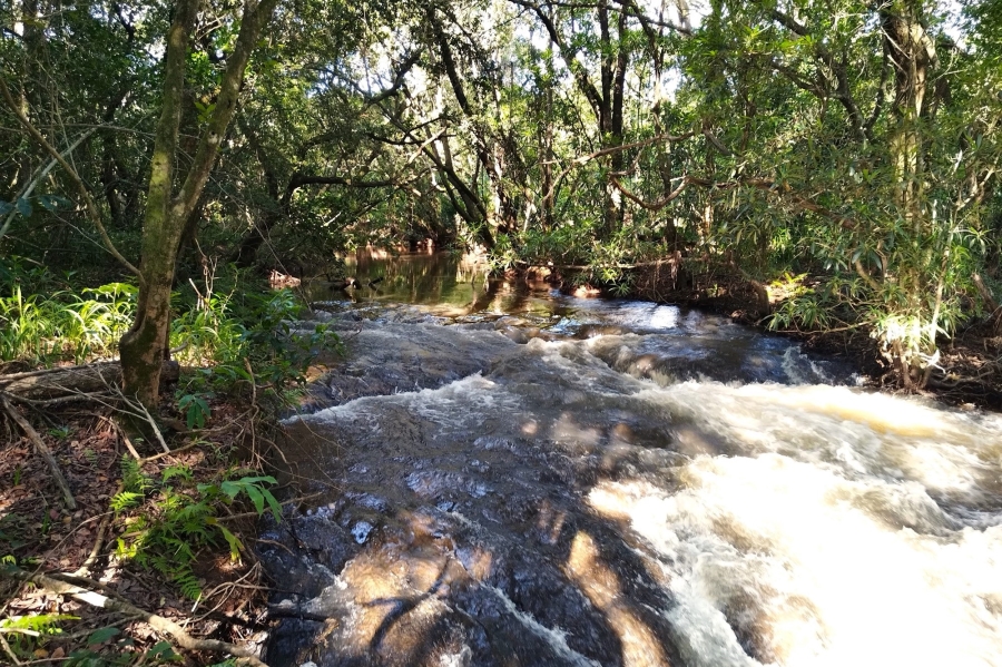 0 Bedroom Property for Sale in Nelspruit Rural Mpumalanga