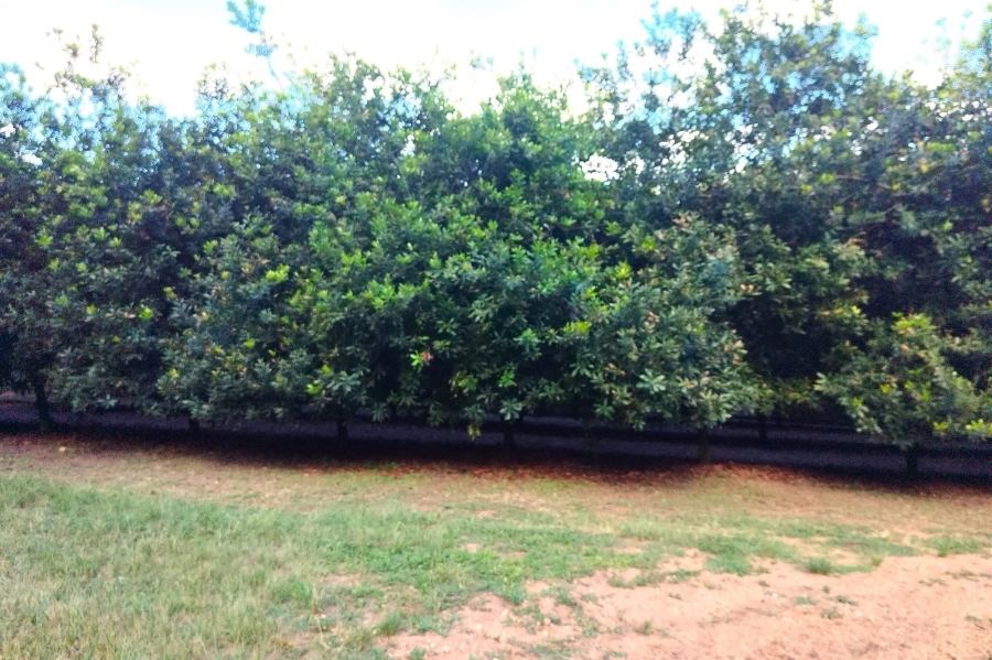 0 Bedroom Property for Sale in Nelspruit Rural Mpumalanga