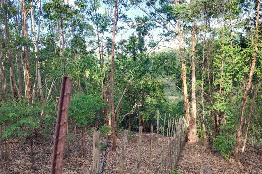 0 Bedroom Property for Sale in Nelspruit Rural Mpumalanga