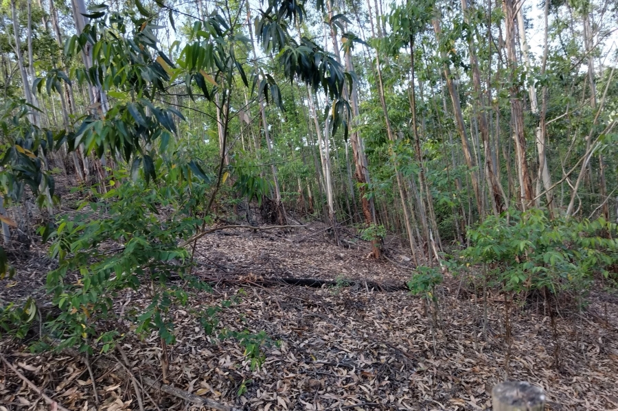 0 Bedroom Property for Sale in Nelspruit Rural Mpumalanga