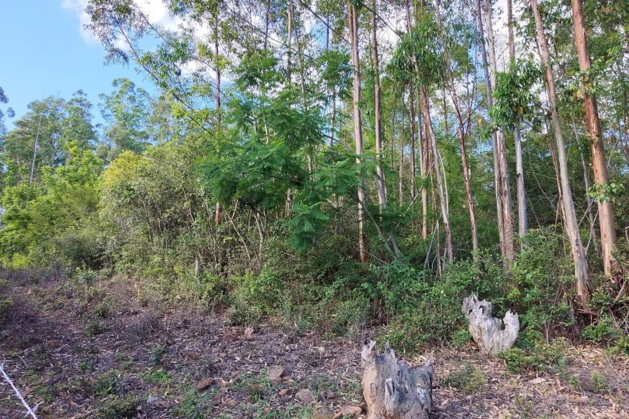 0 Bedroom Property for Sale in Nelspruit Rural Mpumalanga