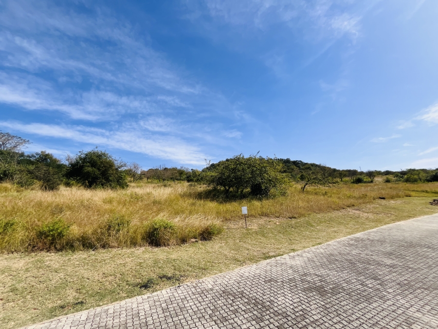 0 Bedroom Property for Sale in Likweti Bushveld Farm Estate Mpumalanga
