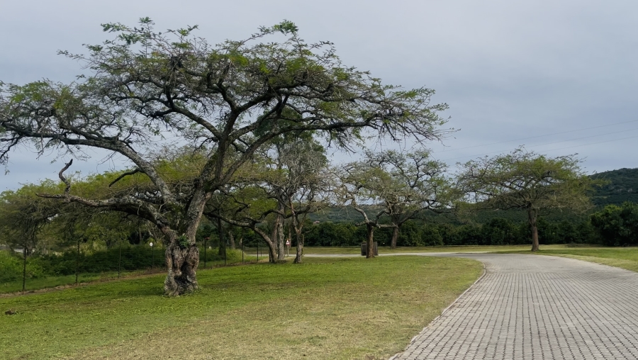 0 Bedroom Property for Sale in Likweti Bushveld Farm Estate Mpumalanga