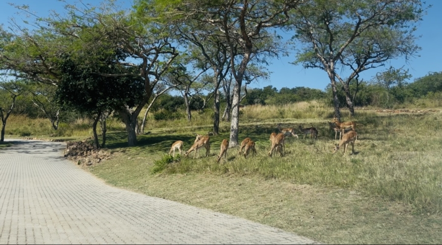 0 Bedroom Property for Sale in Likweti Bushveld Farm Estate Mpumalanga