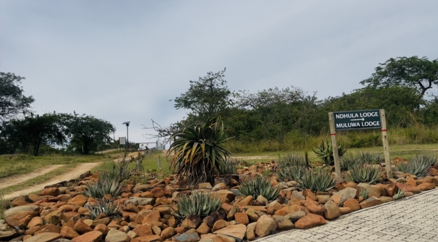 0 Bedroom Property for Sale in Likweti Bushveld Farm Estate Mpumalanga