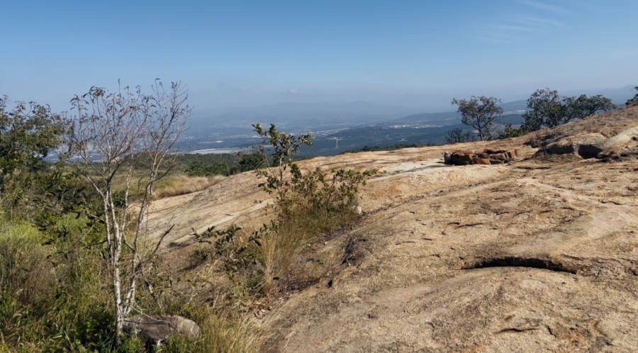 0 Bedroom Property for Sale in Likweti Bushveld Farm Estate Mpumalanga