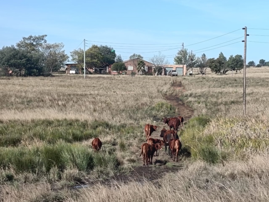 Commercial Property for Sale in Jackaroo A H Mpumalanga
