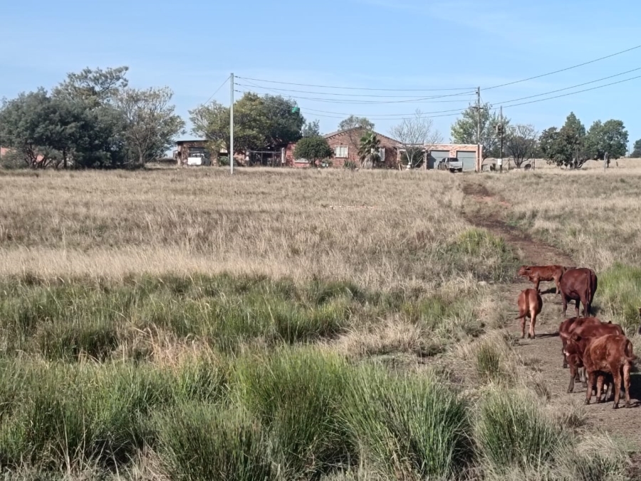 Commercial Property for Sale in Jackaroo A H Mpumalanga