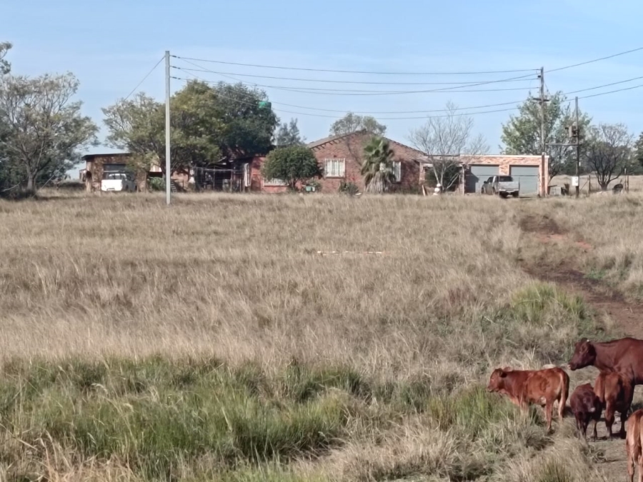 Commercial Property for Sale in Jackaroo A H Mpumalanga