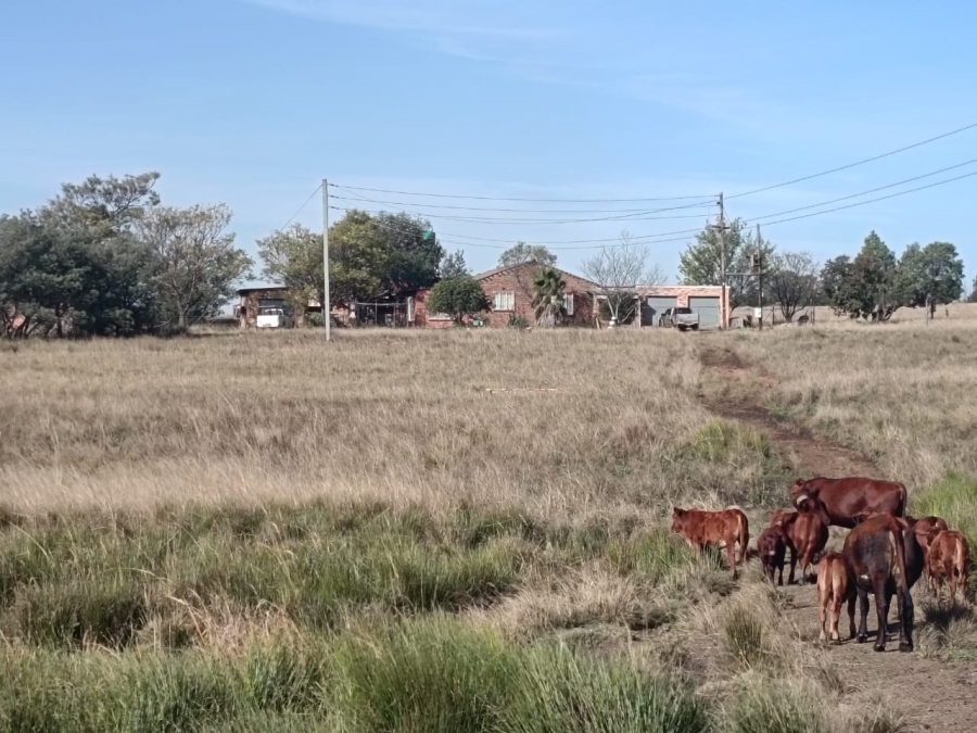 Commercial Property for Sale in Jackaroo A H Mpumalanga