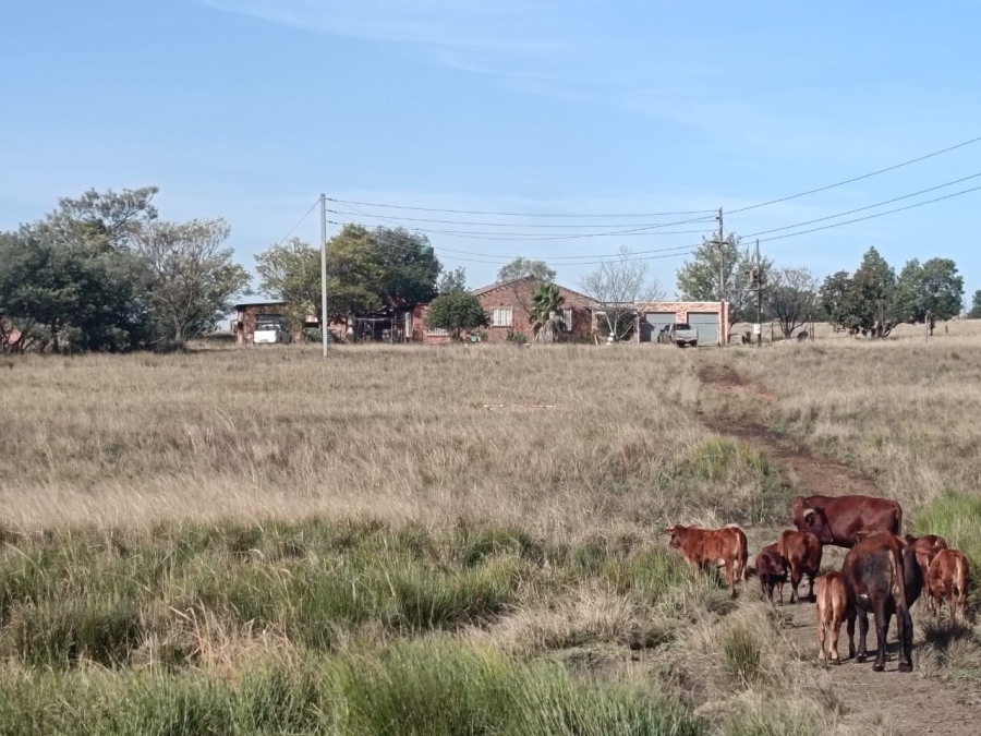 Commercial Property for Sale in Jackaroo A H Mpumalanga