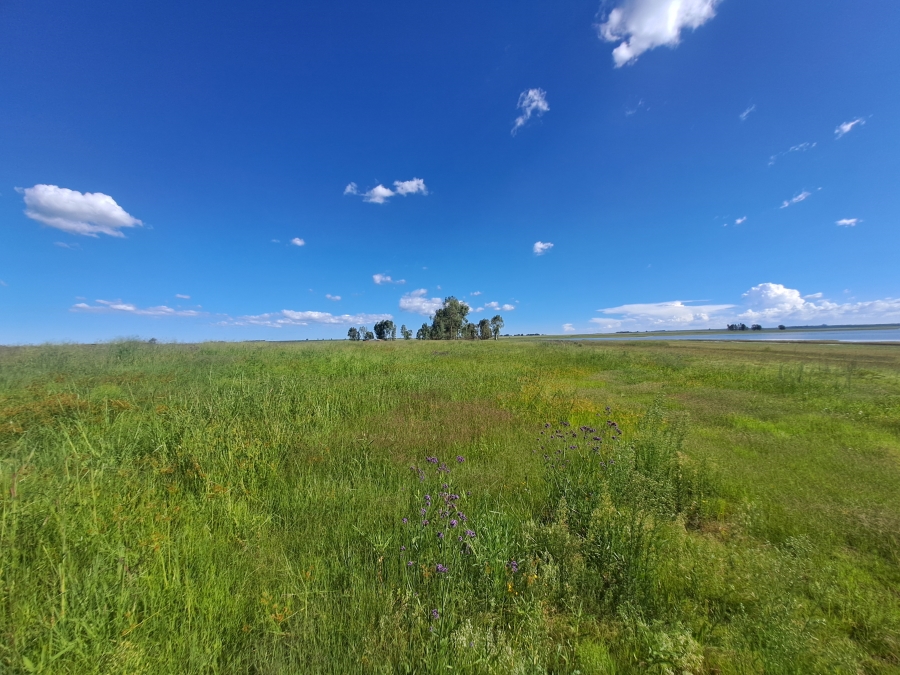 0 Bedroom Property for Sale in Grootvlei Mpumalanga