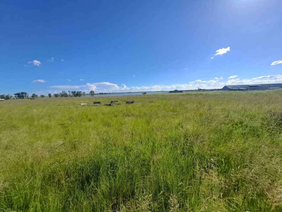 0 Bedroom Property for Sale in Grootvlei Mpumalanga