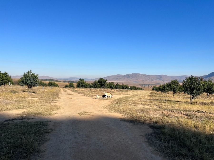 3 Bedroom Property for Sale in Avontuur Mpumalanga