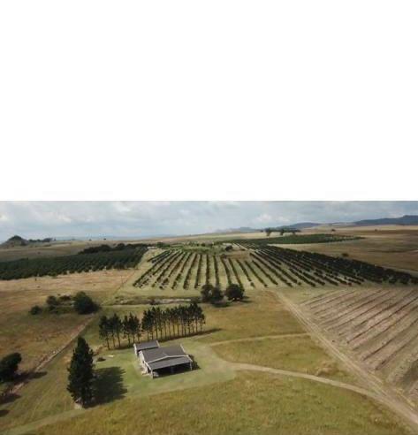 3 Bedroom Property for Sale in Avontuur Mpumalanga