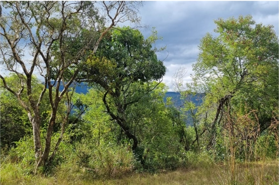 0 Bedroom Property for Sale in Nelspruit Rural Mpumalanga