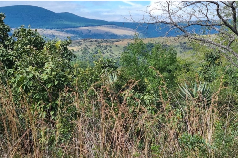 0 Bedroom Property for Sale in Nelspruit Rural Mpumalanga