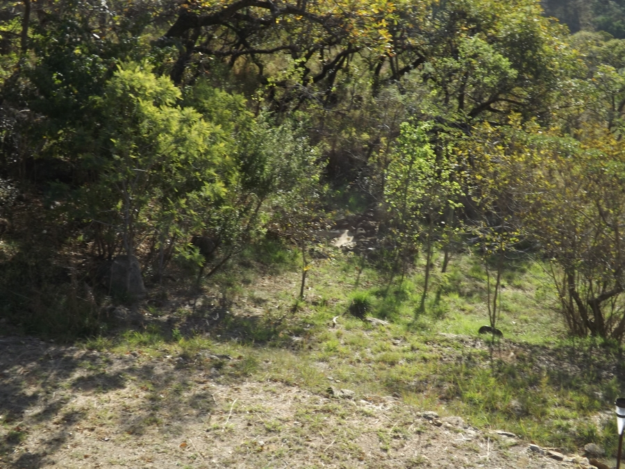 Commercial Property for Sale in Nelspruit Rural Mpumalanga