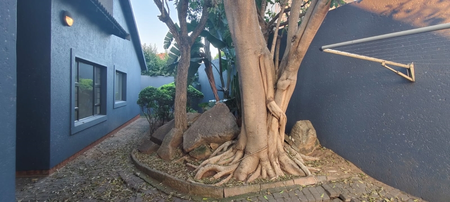 To Let 3 Bedroom Property for Rent in Sonheuwel Mpumalanga