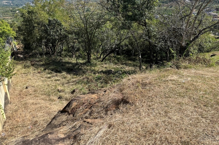 0 Bedroom Property for Sale in Drum Rock Mpumalanga
