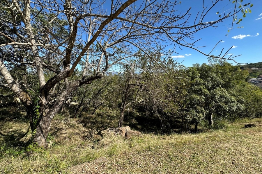0 Bedroom Property for Sale in Drum Rock Mpumalanga